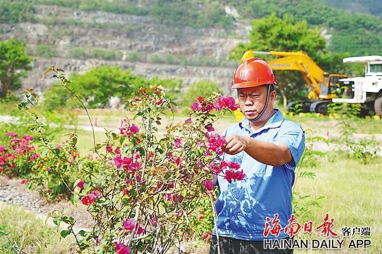 海南這座礦山，為何這么綠？4.jpg